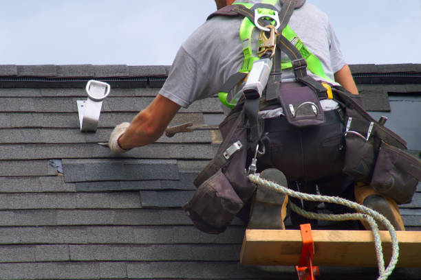 Best Roof Moss and Algae Removal  in Idylwood, VA