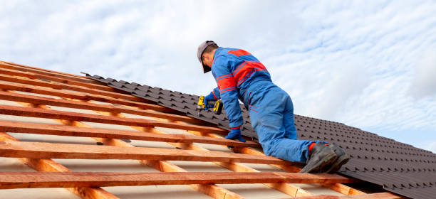 Steel Roofing in Idylwood, VA